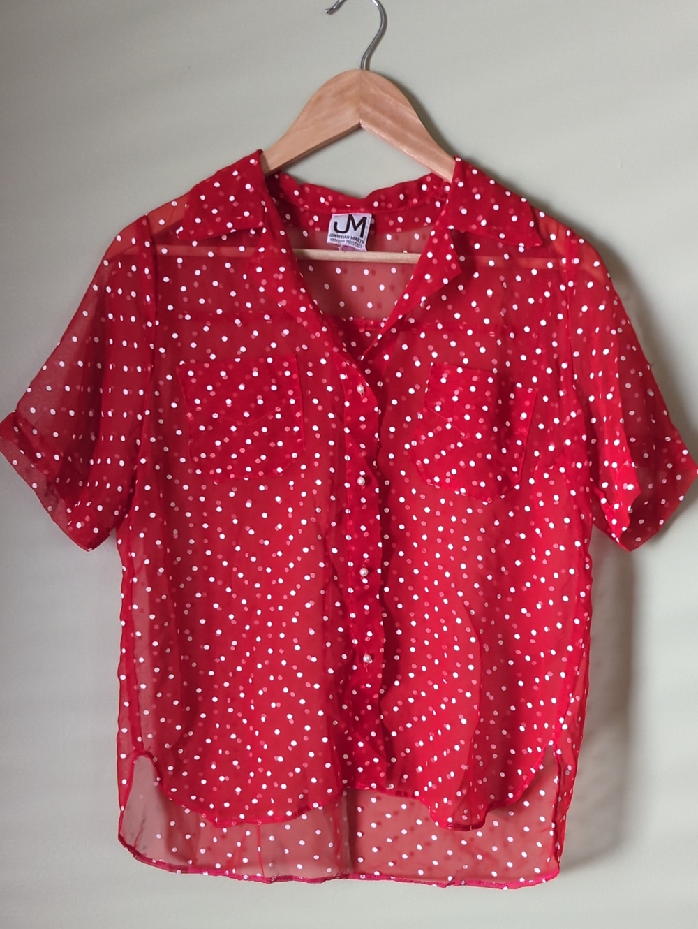 Cute Vintage Red Polka Dot Sheer Button-Up Blouse